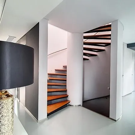 Bonsai أركو دا كالهيتا