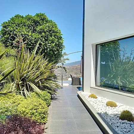 Bonsai